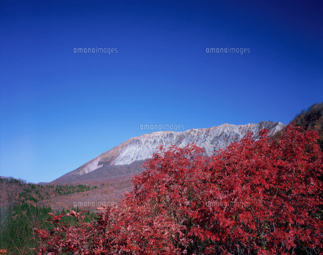 紅葉と大山
(c)NOBUAKI SUMIDA/SEBUN PHOTO