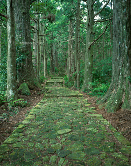 夏の熊野古道
(c)NOBUAKI SUMIDA/SEBUN PHOTO