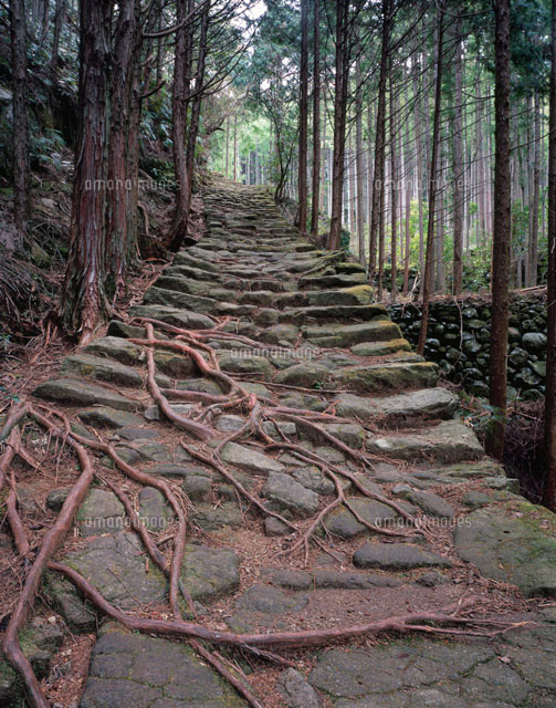 松本峠
(c)NOBUAKI SUMIDA/SEBUN PHOTO