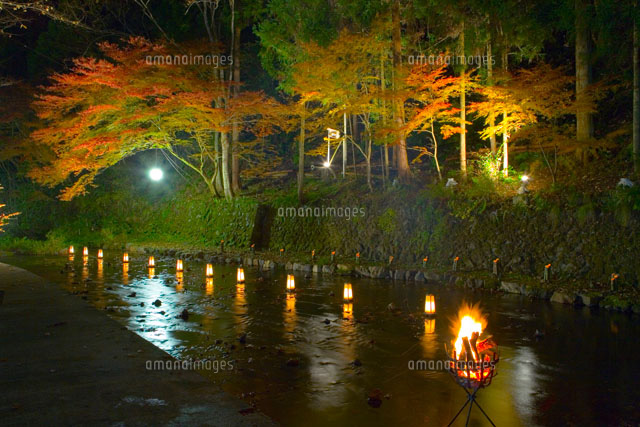 ライトアップされた紅葉と川
(c)NOBUAKI SUMIDA/SEBUN PHOTO