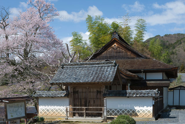 旧小笠原家書院の桜
(c)NOBUAKI SUMIDA/SEBUN PHOTO
