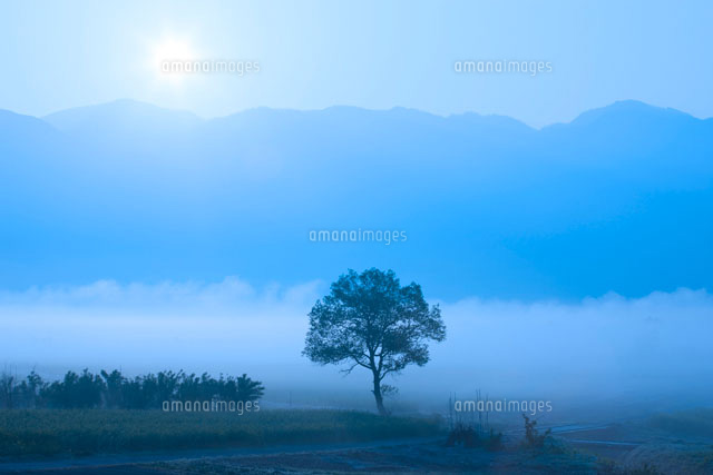 千曲川河川敷の朝霧
(c)NOBUAKI SUMIDA/SEBUN PHOTO