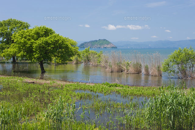 新緑の琵琶湖と竹生島
(c)NOBUAKI SUMIDA/SEBUN PHOTO