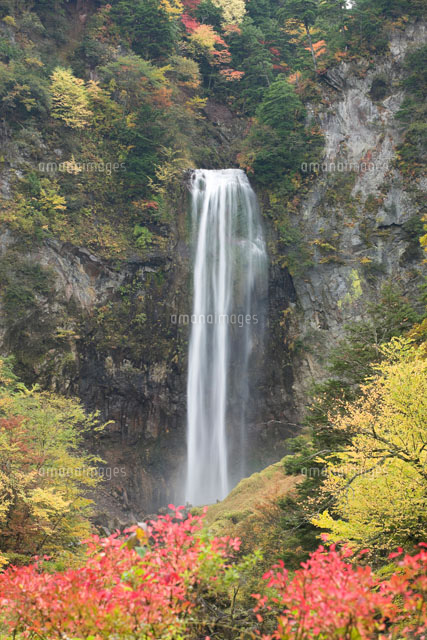 紅葉の平湯大滝
(c)NOBUAKI SUMIDA/SEBUN PHOTO