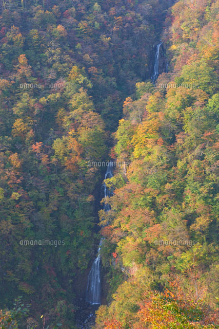 三階の滝と紅葉
(c)NOBUAKI SUMIDA/SEBUN PHOTO
