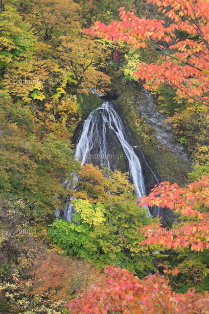 七つ滝
(c)NOBUAKI SUMIDA/SEBUN PHOTO