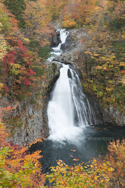 紅葉の法体の滝
(c)NOBUAKI SUMIDA/SEBUN PHOTO