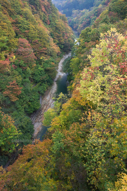 紅葉の小安峡
(c)NOBUAKI SUMIDA/SEBUN PHOTO