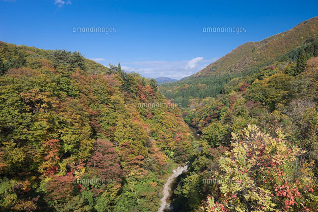 小安峡の紅葉と青空
(c)NOBUAKI SUMIDA/SEBUN PHOTO