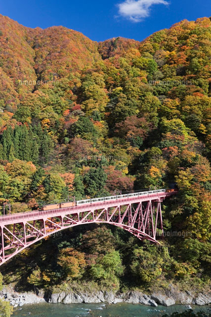 黒部峡谷鉄道のトロッコ列車と紅葉
(c)NOBUAKI SUMIDA/SEBUN PHOTO