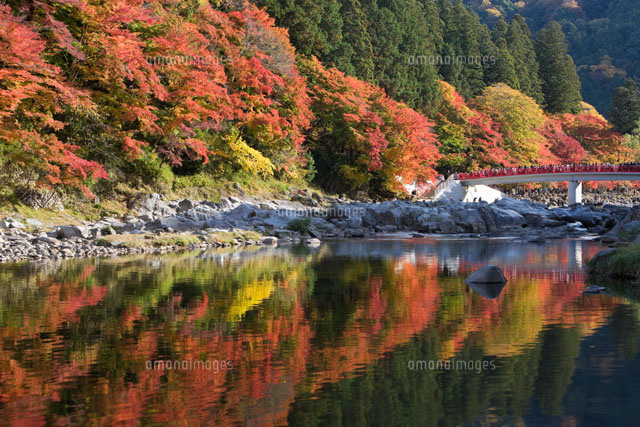 香嵐渓の紅葉
(c)NOBUAKI SUMIDA/SEBUN PHOTO