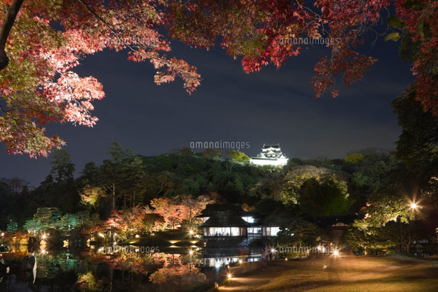 玄宮園と彦根城の紅葉ライトアップ
(c)NOBUAKI SUMIDA/SEBUN PHOTO