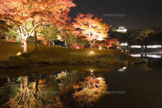 玄宮園と彦根城の紅葉ライトアップ
(c)NOBUAKI SUMIDA/SEBUN PHOTO