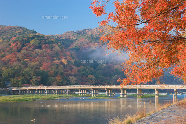 紅葉の渡月橋
(c)NOBUAKI SUMIDA/SEBUN PHOTO