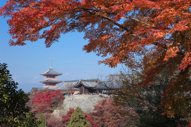 清水寺の紅葉
(c)NOBUAKI SUMIDA/SEBUN PHOTO