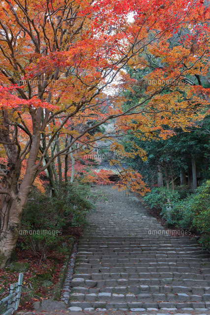 室生寺鎧坂の紅葉
(c)NOBUAKI SUMIDA/SEBUN PHOTO