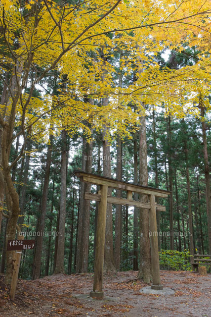 熊野古道 発心門王子の紅葉
(c)NOBUAKI SUMIDA/SEBUN PHOTO