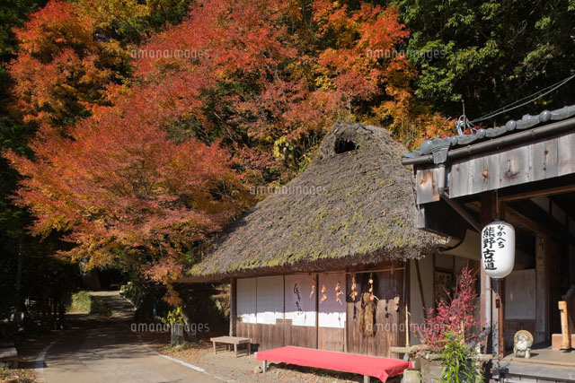 熊野古道 紅葉のとがのき茶屋
(c)NOBUAKI SUMIDA/SEBUN PHOTO