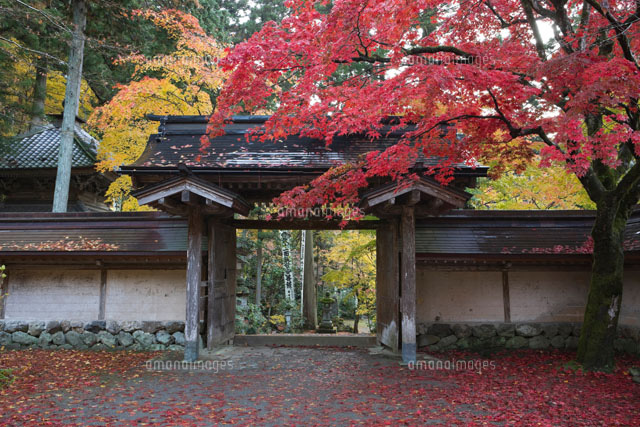 谷汲山の華厳寺の紅葉
(c)NOBUAKI SUMIDA/SEBUN PHOTO