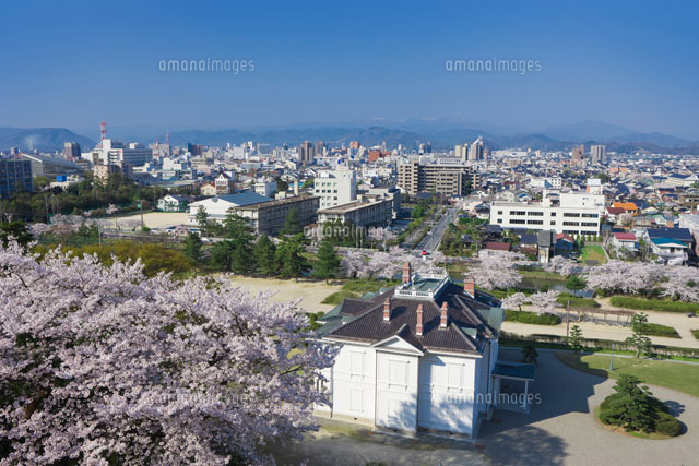 桜と鳥取城跡と鳥取市街
(c)NOBUAKI SUMIDA/SEBUN PHOTO