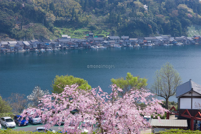 伊根の舟屋と桜と海
(c)NOBUAKI SUMIDA/SEBUN PHOTO