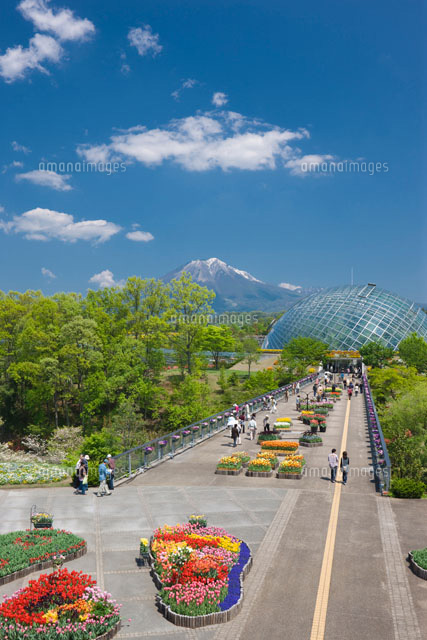 とっとり花回廊と大山
(c)NOBUAKI SUMIDA/SEBUN PHOTO