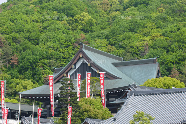 新緑の最上稲荷
(c)NOBUAKI SUMIDA/SEBUN PHOTO