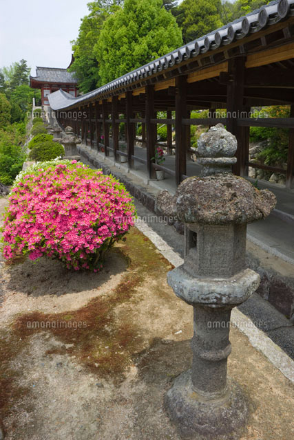 吉備津神社とツツジ
(c)NOBUAKI SUMIDA/SEBUN PHOTO