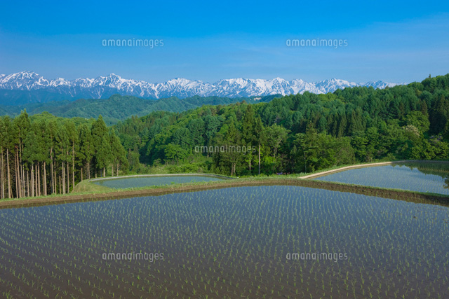 北アルプスと田
(c)NOBUAKI SUMIDA/SEBUN PHOTO