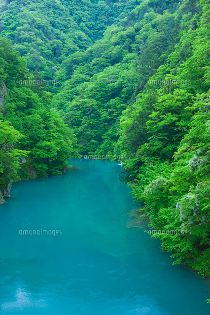 新緑の抱返り渓谷
(c)NOBUAKI SUMIDA/SEBUN PHOTO