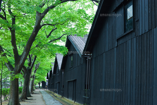 雨の山居倉庫
(c)NOBUAKI SUMIDA/SEBUN PHOTO