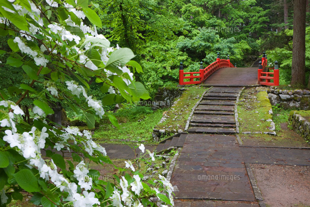 雨の羽黒山の祓川神橋
(c)NOBUAKI SUMIDA/SEBUN PHOTO