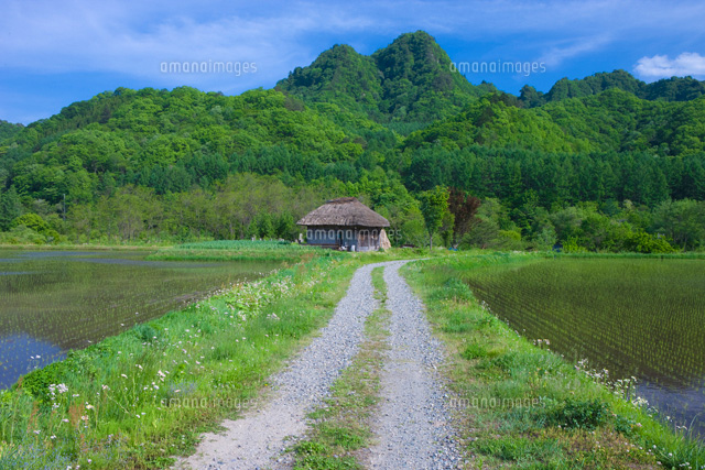 茅葺小屋とあぜ道
(c)NOBUAKI SUMIDA/SEBUN PHOTO