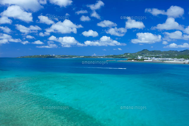 本部半島と海と青空
(c)NOBUAKI SUMIDA/SEBUN PHOTO