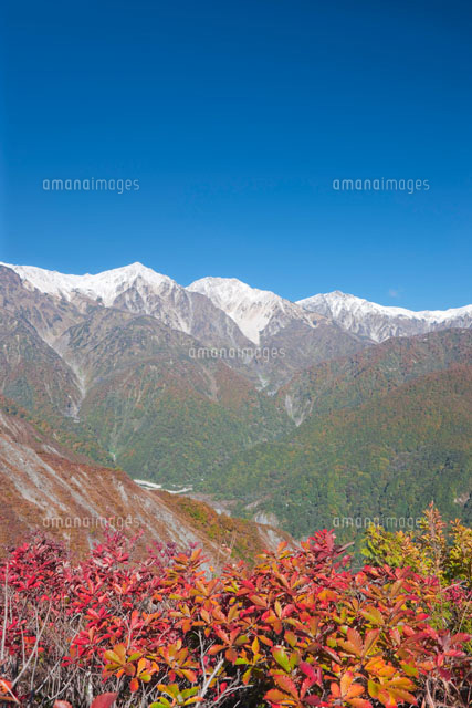 白馬三山と紅葉
(c)NOBUAKI SUMIDA/SEBUN PHOTO