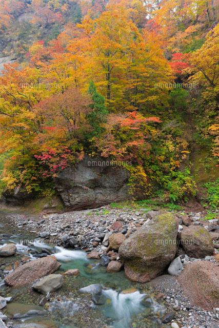 奥裾花渓谷の紅葉
(c)NOBUAKI SUMIDA/SEBUN PHOTO