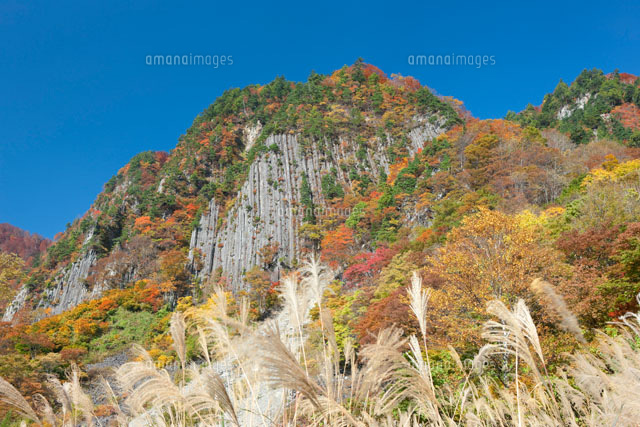 布岩の紅葉
(c)NOBUAKI SUMIDA/SEBUN PHOTO