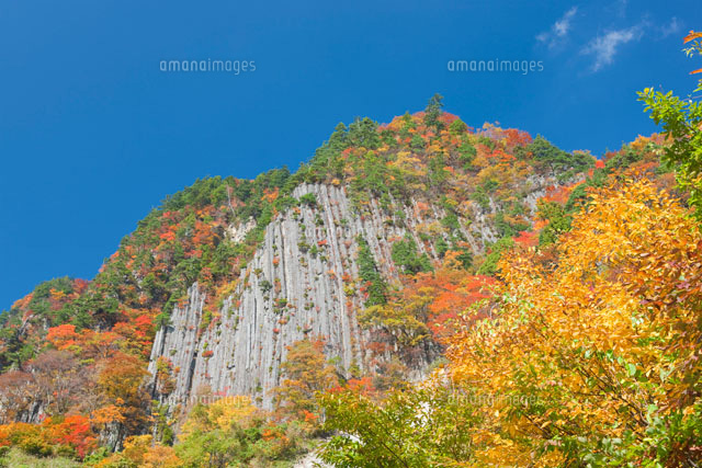 布岩の紅葉
(c)NOBUAKI SUMIDA/SEBUN PHOTO