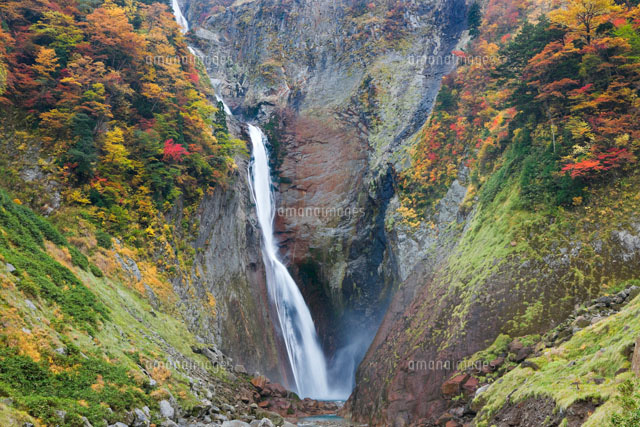 称名滝と紅葉
(c)NOBUAKI SUMIDA/SEBUN PHOTO