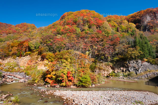 関川渓谷の紅葉
(c)NOBUAKI SUMIDA/SEBUN PHOTO