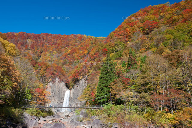 苗名滝の紅葉と吊り橋
(c)NOBUAKI SUMIDA/SEBUN PHOTO