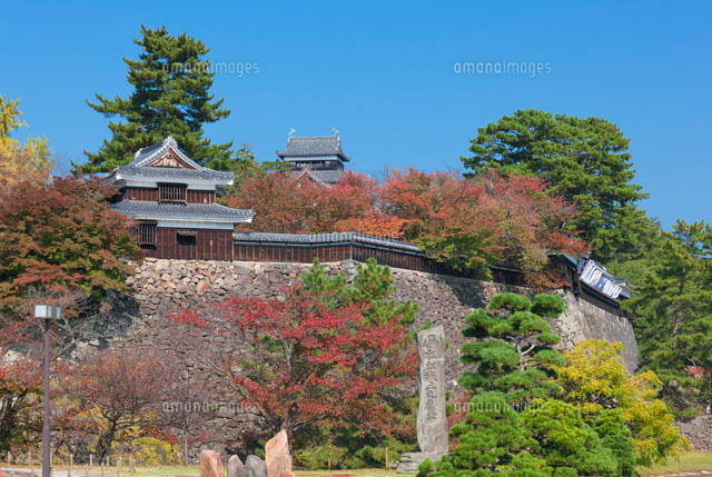 秋の松江城
(c)NOBUAKI SUMIDA/SEBUN PHOTO