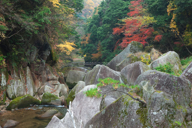 秋の鬼の舌震
(c)NOBUAKI SUMIDA/SEBUN PHOTO