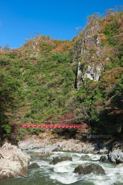 秋の長門峡
(c)NOBUAKI SUMIDA/SEBUN PHOTO