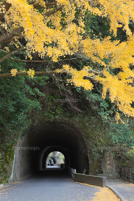 秋の青の洞門
(c)NOBUAKI SUMIDA/SEBUN PHOTO