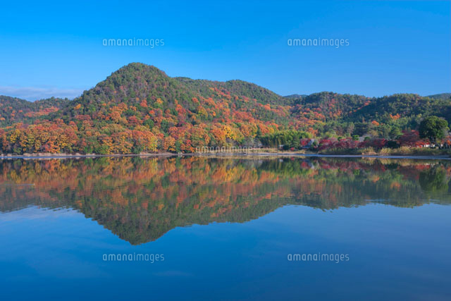秋の広沢の池
(c)NOBUAKI SUMIDA/SEBUN PHOTO
