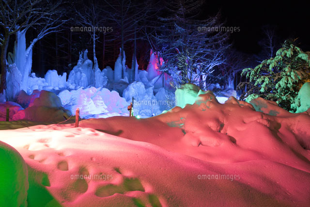 氷点下の森のライトアップ
(c)NOBUAKI SUMIDA/SEBUN PHOTO