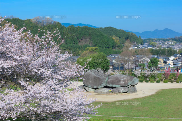 石舞台古墳の桜
(c)NOBUAKI SUMIDA/SEBUN PHOTO