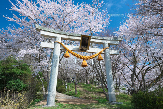 矢合神社
(c)NOBUAKI SUMIDA/SEBUN PHOTO