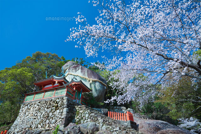 桜と神倉神社
(c)NOBUAKI SUMIDA/SEBUN PHOTO
